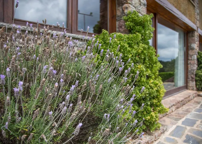 Alquiler de vacaciones: Apartamentos Els Ocells